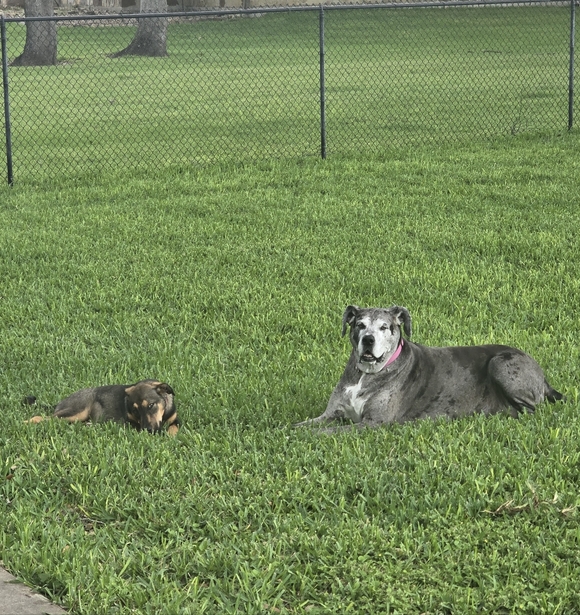 Meet your Posher, Jennifer - Picture 3 of 9